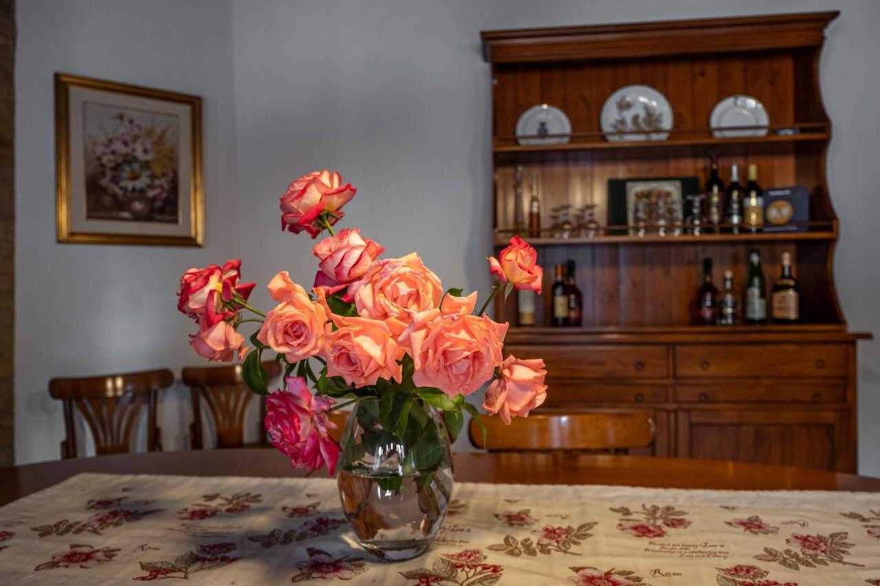 Agriturismo Le 4 Rose Vescovana 외부 사진